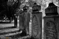 friedhof-q-4