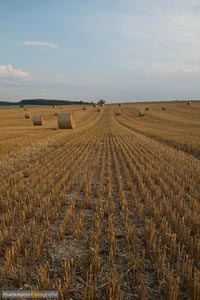 landschaftsfotografie-h010