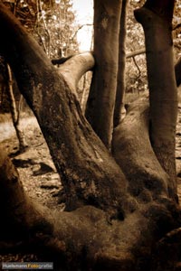 landschaftsfotografie-h03