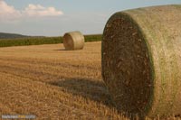 landschaftsfotografie-q031