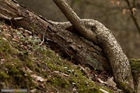 landschaftsfotografie-q081